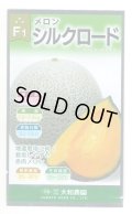送料無料　[メロン]　シルクロード　7粒　(株)大和農園