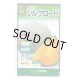 送料無料　[メロン]　シルクロード　7粒　(株)大和農園