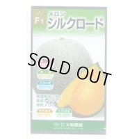 送料無料　[メロン]　シルクロード　7粒　(株)大和農園