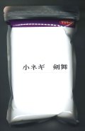 [ねぎ]　剣舞　1L　（株）サカタのタネ