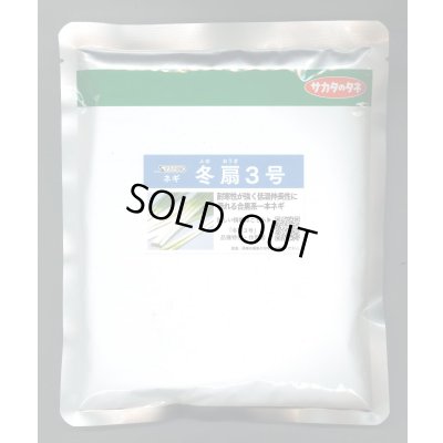 画像1: 送料無料　[ねぎ]　冬扇3号　ペレット種子　6000粒　(株)サカタのタネ