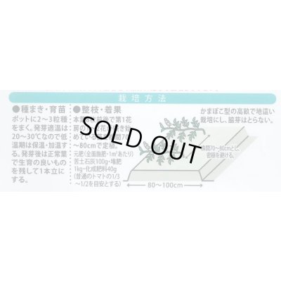 画像3: 送料無料　[トマト/調理用トマト]　なつのこま　0.5ml　(株)（株）大和農園