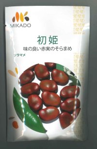 送料無料　[そら豆]　初姫　23粒　ヴィルモランみかど（株）