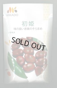 送料無料　[そら豆]　初姫　23粒　ヴィルモランみかど