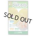 送料無料　[メロン]　ゴールデンテイスト　7粒　(株)大和農園