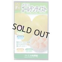 送料無料　[メロン]　ゴールデンテイスト　7粒　(株)大和農園