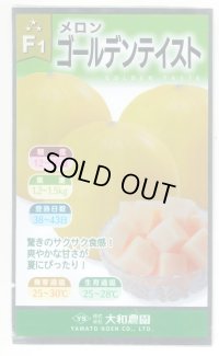 送料無料　[メロン]　ゴールデンテイスト　7粒　(株)大和農園