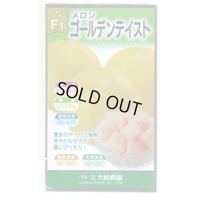 画像1: 送料無料　[メロン]　ゴールデンテイスト　7粒　(株)大和農園