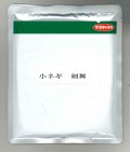 送料無料　[ねぎ]　剣舞　2dl　（株）サカタのタネ