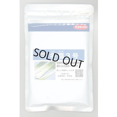 画像1: 送料無料　[ねぎ]　冬扇3号　1dl　(裸種子)　(株)サカタのタネ