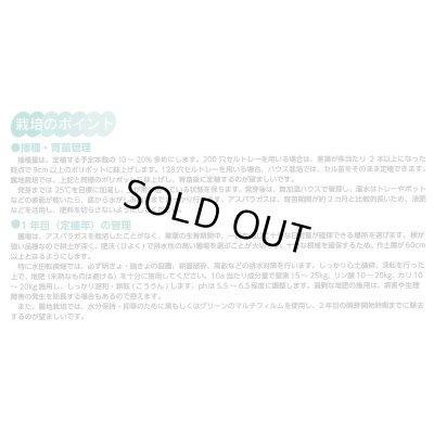 画像4: 送料無料　[アスパラガス]　ハイパーウェルカム　1000粒　(株)サカタのタネ