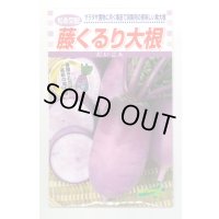 送料無料　[大根]　藤くるり　2.5ml　松永種苗(株)