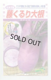 送料無料　[大根]　藤くるり　2.5ml　松永種苗(株)