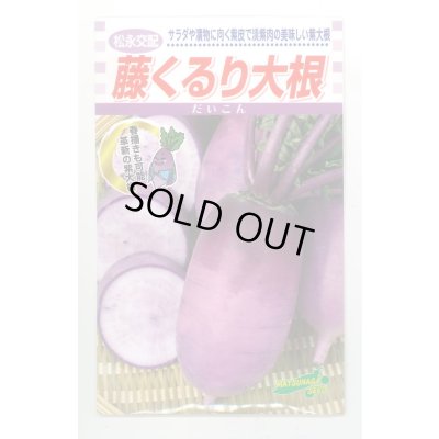 画像1: 送料無料　[大根]　藤くるり　2.5ml　松永種苗(株)