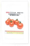 送料無料　[トマト/中玉トマト]　TYマリオ　9粒　小林種苗