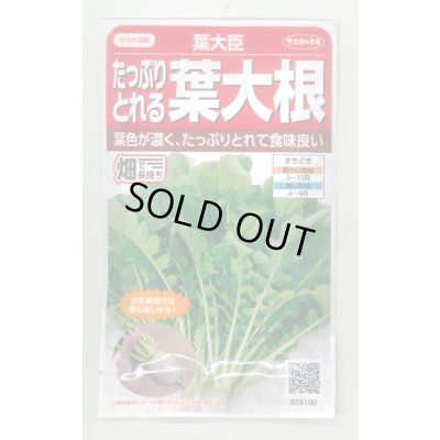 画像1: 送料無料　[大根]　葉ダイコン　葉大臣　約900粒　(株)サカタのタネ　実咲350（003088）