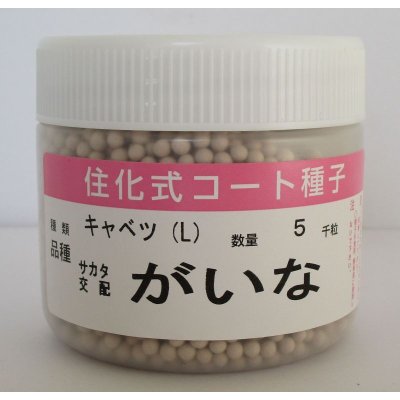 画像1: 送料無料 [キャベツ] がいな ペレット種子5千粒 （株）サカタのタネ