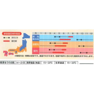 画像2: 花の種　デルフィニウム　プデルミックス　小袋（約40粒）サカタのタネ（株）実咲500