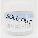 送料無料　[白菜]　桜月　ペレット5千粒　(株)サカタのタネ