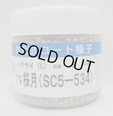 送料無料　[白菜]　桜月　ペレット5千粒　(株)サカタのタネ