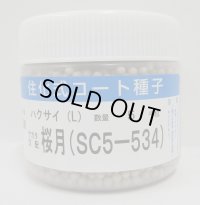 送料無料　[白菜]　桜月　ペレット5千粒　(株)サカタのタネ