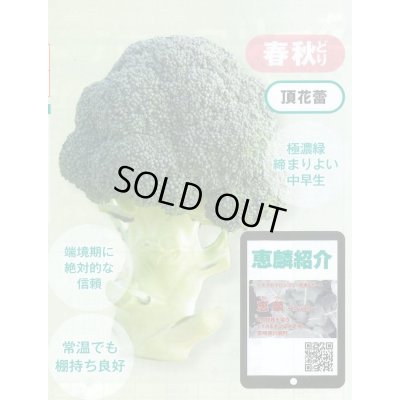 画像2: 送料無料　[ブロッコリー]　恵麟　小袋(およそ150粒)　トキタ種苗(株)