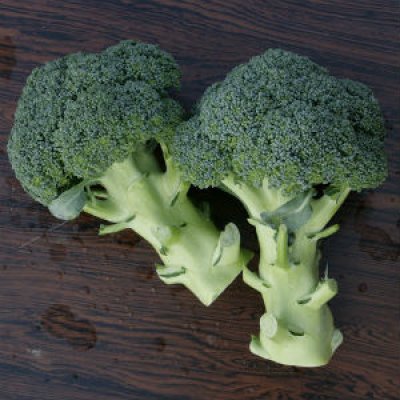 画像4: 送料無料　[ブロッコリー]　恵麟　2000粒　トキタ種苗(株)