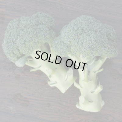 画像4: 送料無料　[ブロッコリー]　恵麟　小袋(およそ150粒)　トキタ種苗(株)