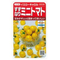 [トマト/ミニトマト]　イエローキャロル　15粒　（株）サカタのタネ　実咲400