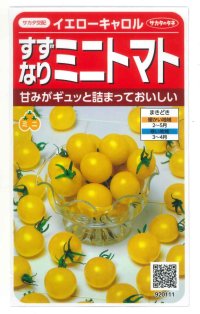 送料無料　[トマト/ミニトマト]　イエローキャロル　15粒　(株)サカタのタネ　実咲450（004026）