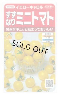 送料無料　[トマト/ミニトマト]　イエローキャロル　15粒　(株)サカタのタネ　実咲450（004026）
