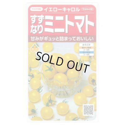 画像1: 送料無料　[トマト/ミニトマト]　イエローキャロル　15粒　(株)サカタのタネ　実咲450（004026）