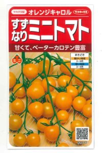 送料無料　[トマト/ミニトマト]　オレンジキャロル　15粒　(株)サカタのタネ　実咲450（004027）