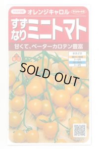 送料無料　[トマト/ミニトマト]　オレンジキャロル　15粒　(株)サカタのタネ　実咲450（004027）
