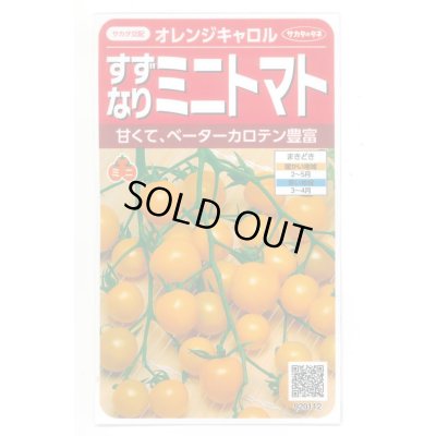 画像1: 送料無料　[トマト/ミニトマト]　オレンジキャロル　15粒　(株)サカタのタネ　実咲450（004027）