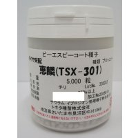 [ブロッコリー]　　恵麟　コート5千粒　トキタ種苗（株）