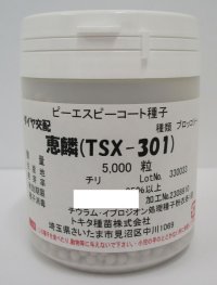 [ブロッコリー]　　恵麟　コート5千粒　トキタ種苗（株）