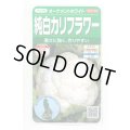 送料無料　カリフラワー　]　オーナメントホワイト　小袋(約120粒)　(株)サカタのタネ　実咲450（004025）