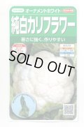 送料無料　カリフラワー　]　オーナメントホワイト　小袋(約120粒)　(株)サカタのタネ　実咲450（004025）