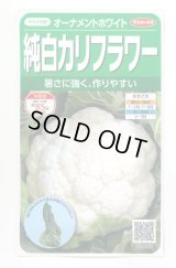 送料無料　カリフラワー　]　オーナメントホワイト　小袋(約120粒)　(株)サカタのタネ　実咲450（004025）