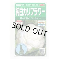 送料無料　カリフラワー　]　オーナメントホワイト　小袋(約120粒)　(株)サカタのタネ　実咲450（004025）