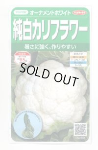 　カリフラワー　]　オーナメントホワイト　小袋（約120粒）　実咲400　サカタ交配