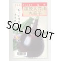 送料無料　[なす]　京野菜　加茂大芹川丸茄子　20ml　(株)タカヤマシード