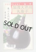 送料無料　[なす]　京野菜　加茂大芹川丸茄子　20ml　(株)タカヤマシード