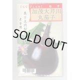 送料無料　[なす]　京野菜　加茂大芹川丸茄子　20ml　(株)タカヤマシード
