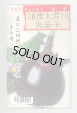 送料無料　[なす]　京野菜　加茂大芹川丸茄子　20ml　(株)タカヤマシード