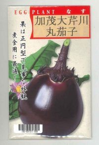 [なす]　京野菜　加茂大芹川丸茄子　20ml　（株）タカヤマシード