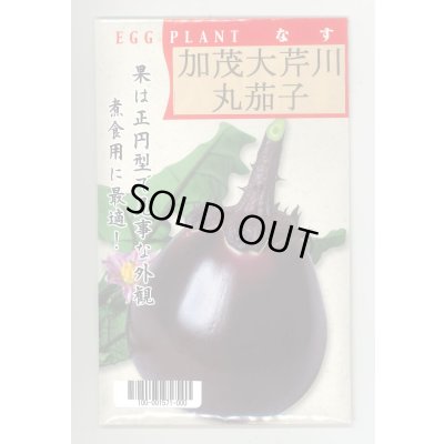 画像1: 送料無料　[なす]　京野菜　加茂大芹川丸茄子　20ml　(株)タカヤマシード