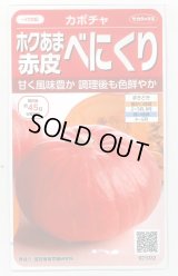 送料無料　[かぼちゃ]　べにくり　6粒　(株)サカタのタネ　実咲450（002874）