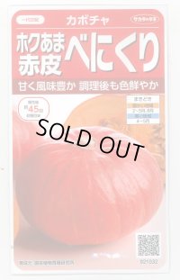 送料無料　[かぼちゃ]　べにくり　6粒　(株)サカタのタネ　実咲450（002874）